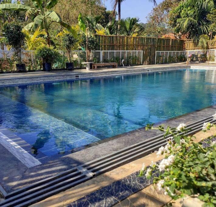 Villa Ibiza Wonderland , Meppadi Wayanad Exterior foto